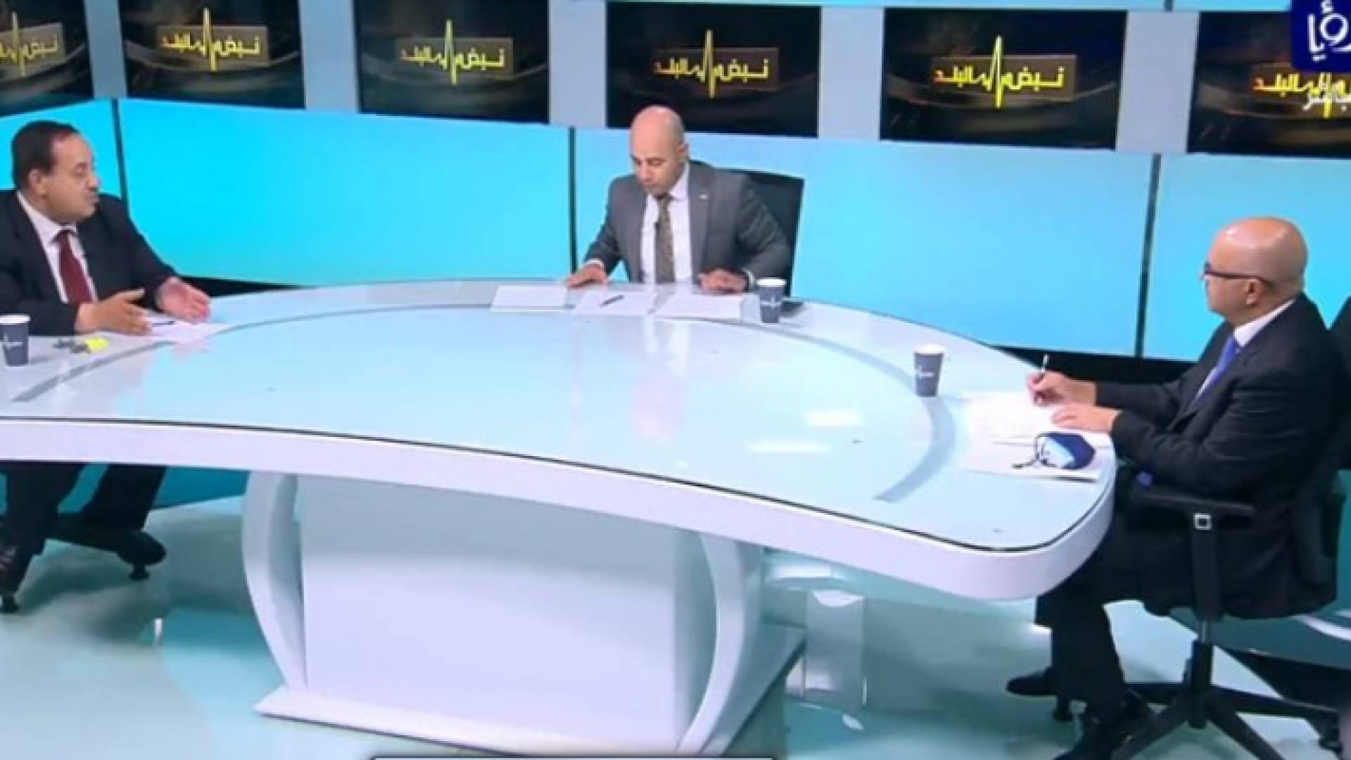 ضيوف برنامج نبض البلد