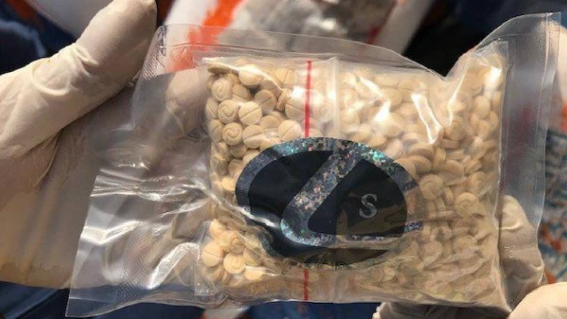 الجيش اللبناني يحبط تهريب مخدرات إلى السعودية