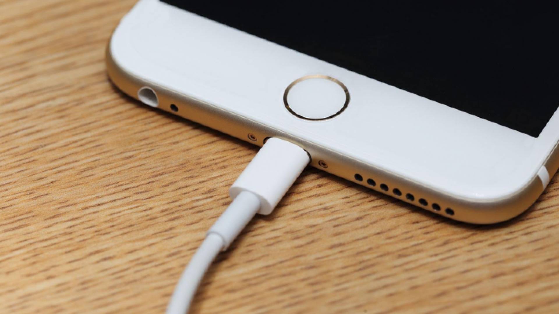 شحن الهاتف الهاتف