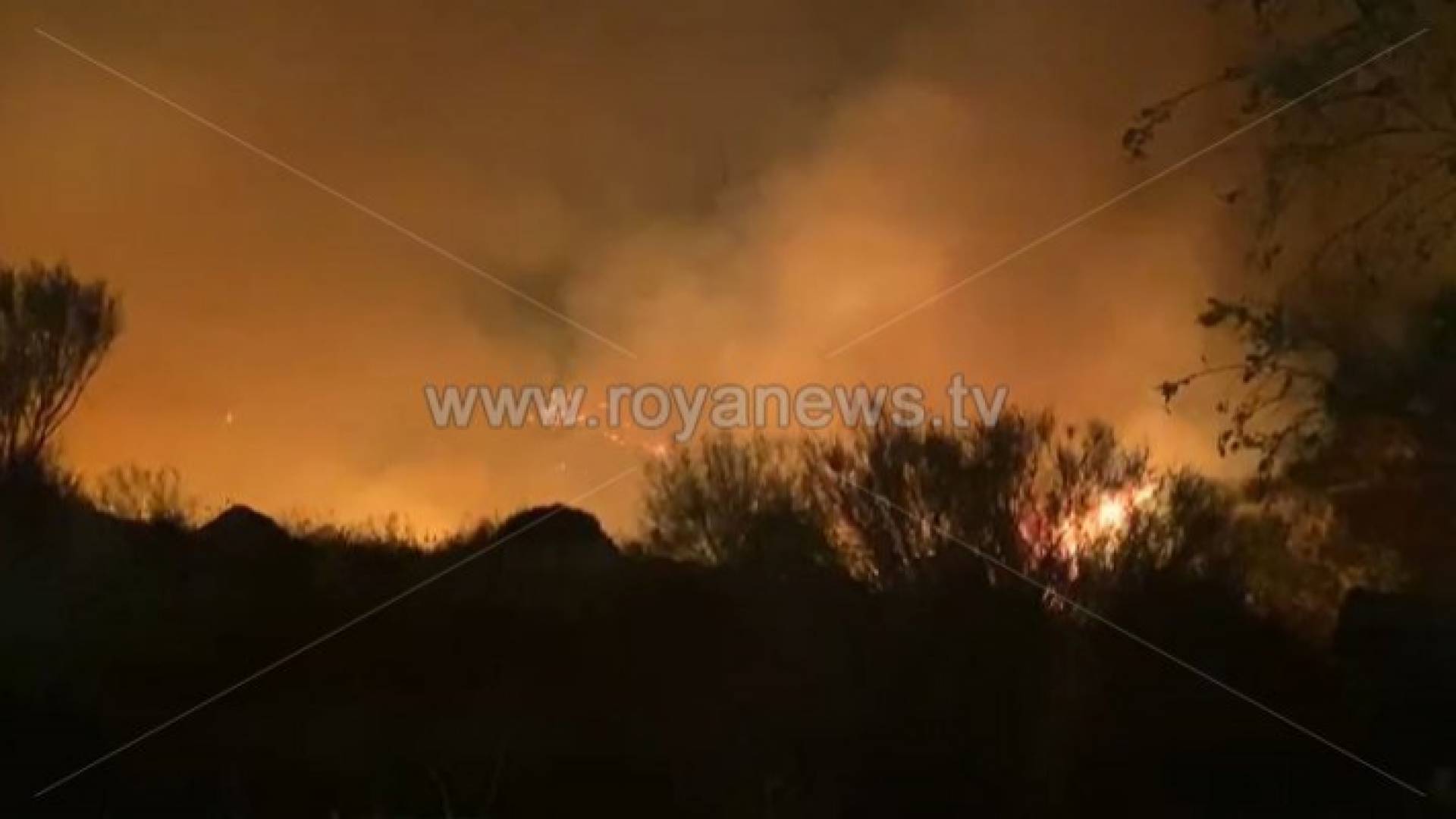 الصورة ارشيفية