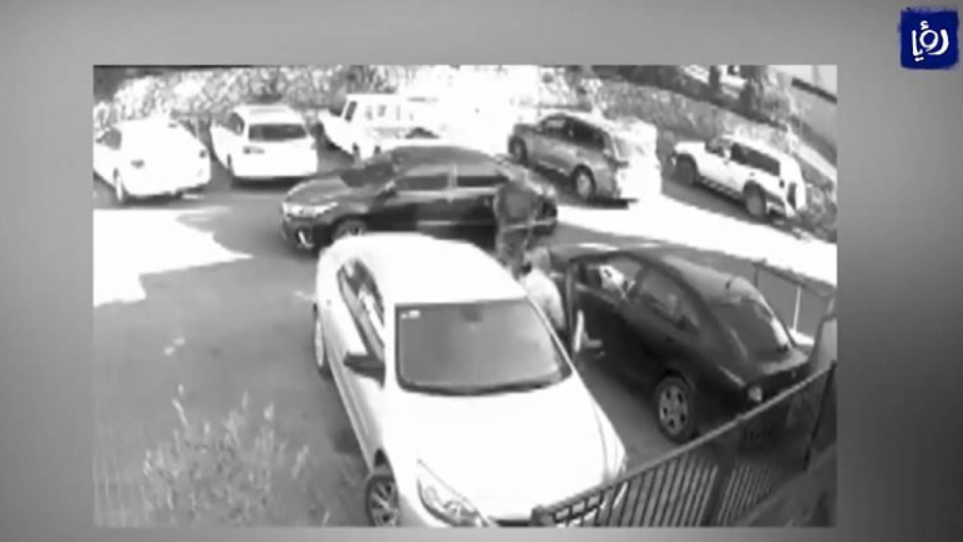 الصورة من الفيديو