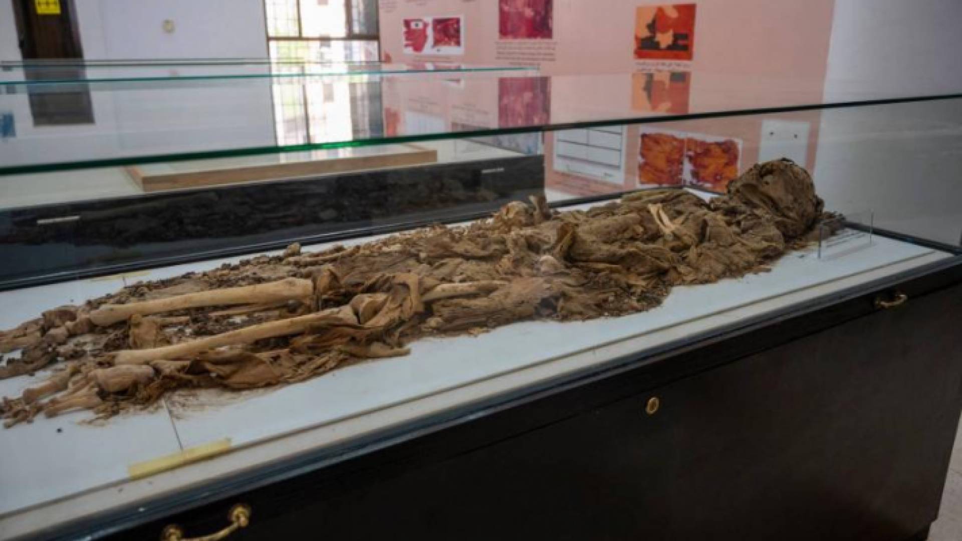 المومياء المعروضة في المتحف