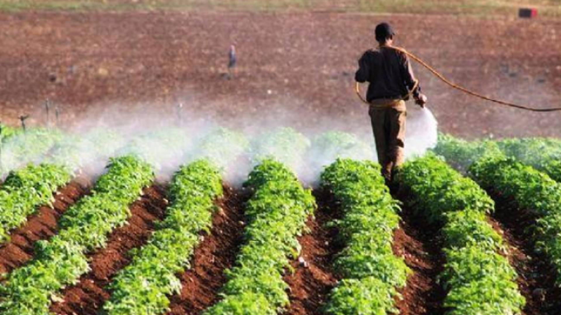 الصورة ارشيفية