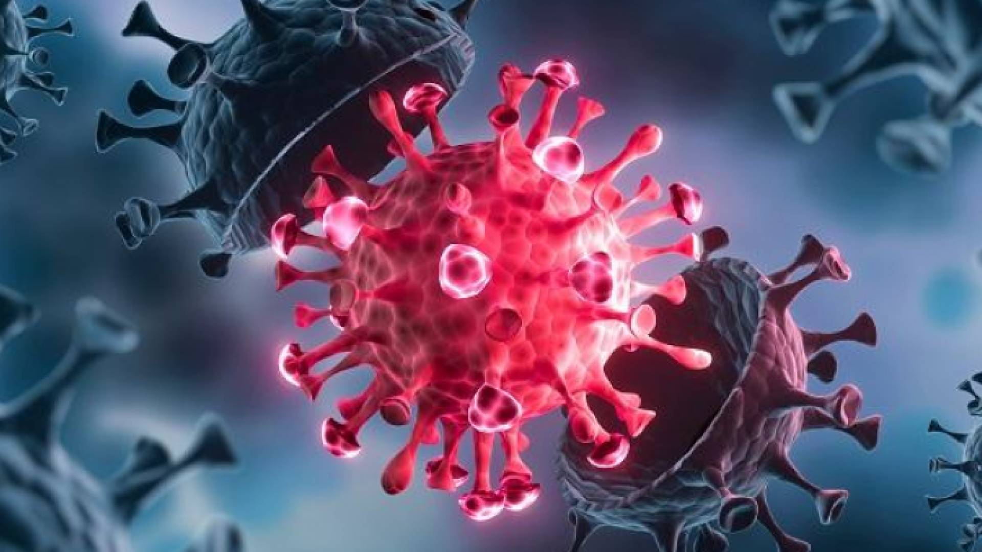 الصورة تعبيرية