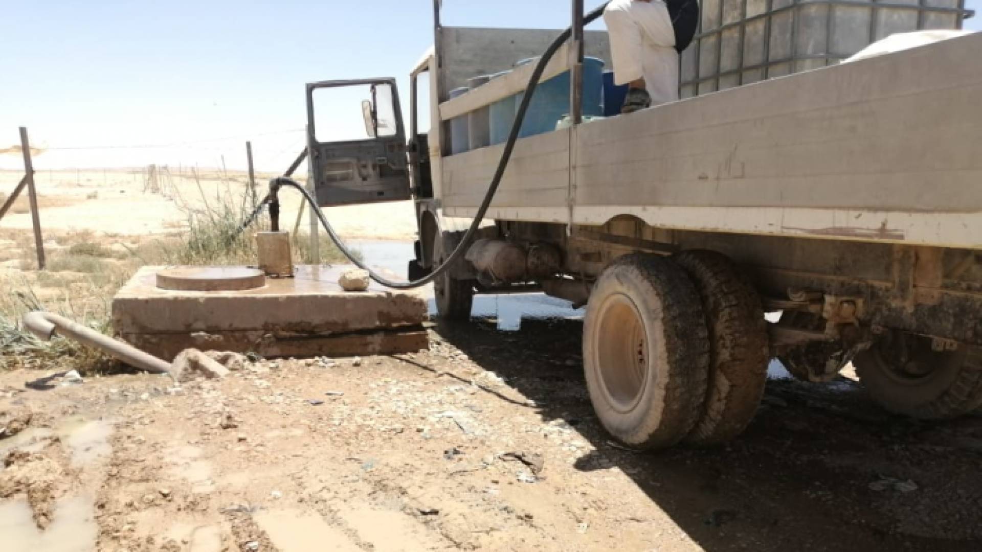 ضبطن خلال الحملة التفتيشية