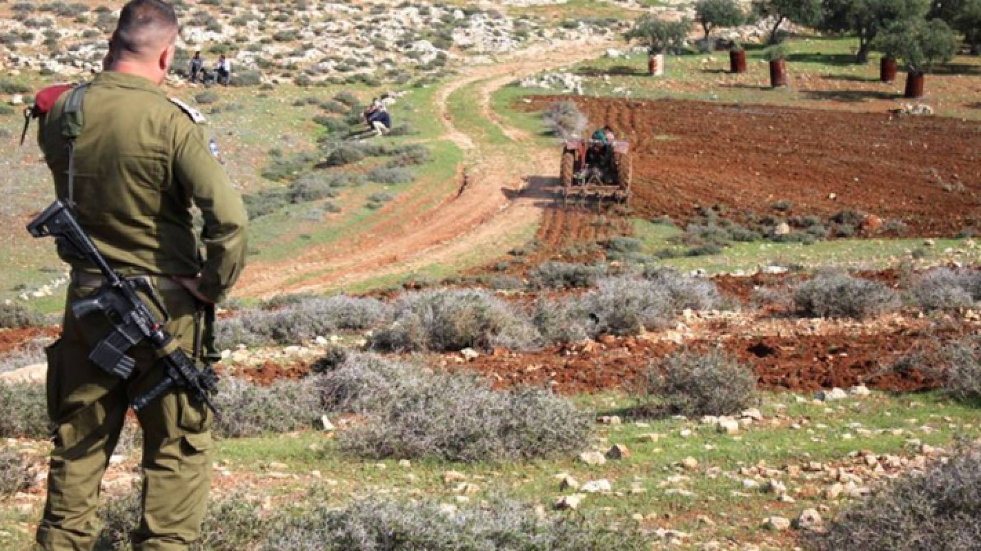 الاحتلال يصادر آلاف الدونمات من أراضي الفلسطينيين