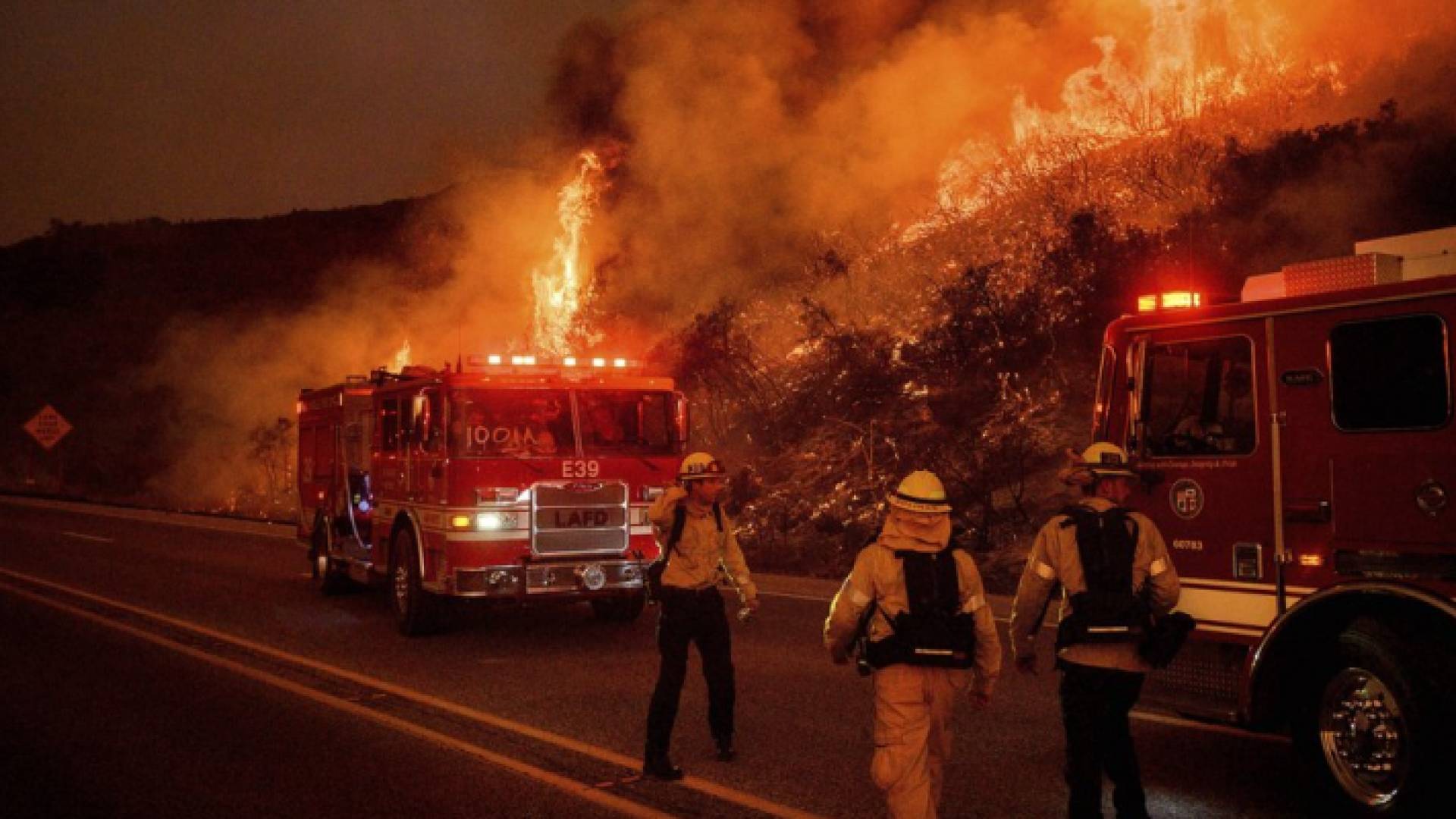 حرائق غابات تعد الأسوأ في قبرص منذ عقود