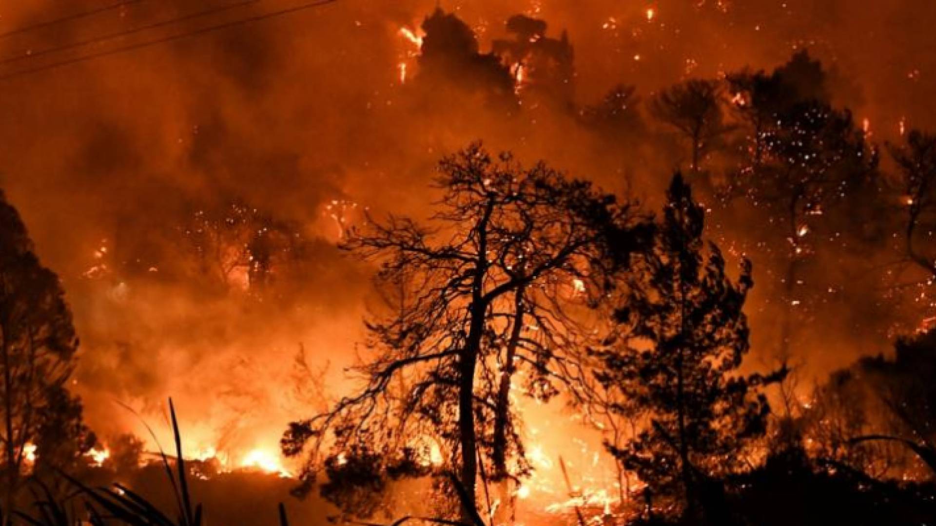 الصورة ارشيفية