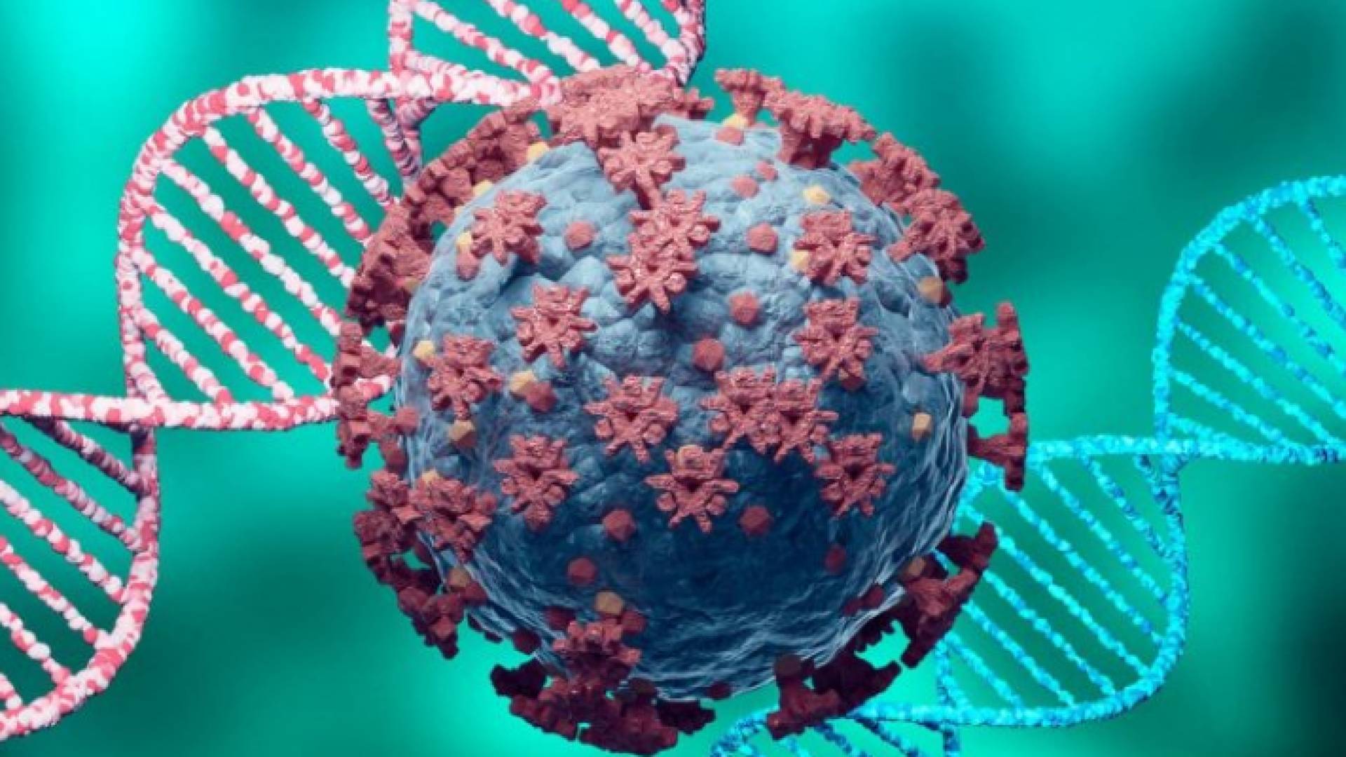 فيروس كورونا - تعبيرية