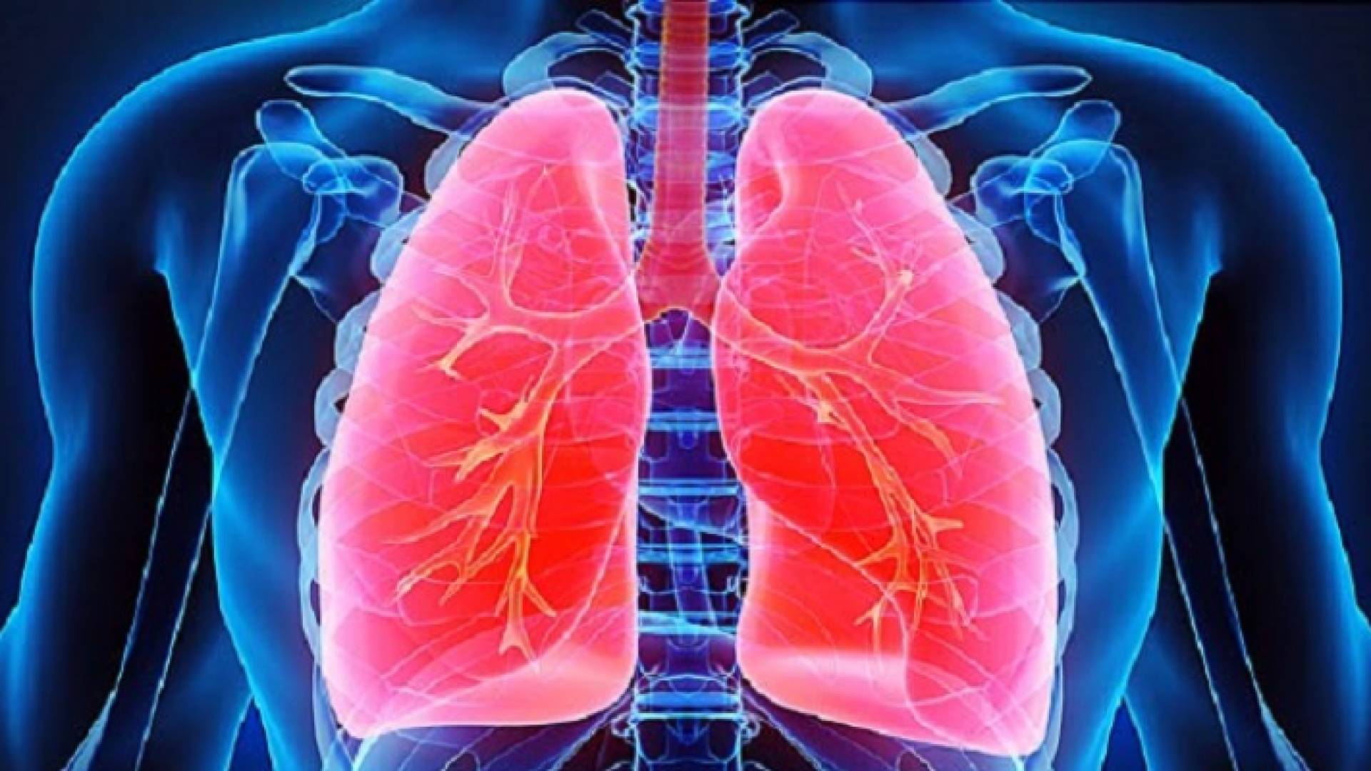 الصورة تعبيرية