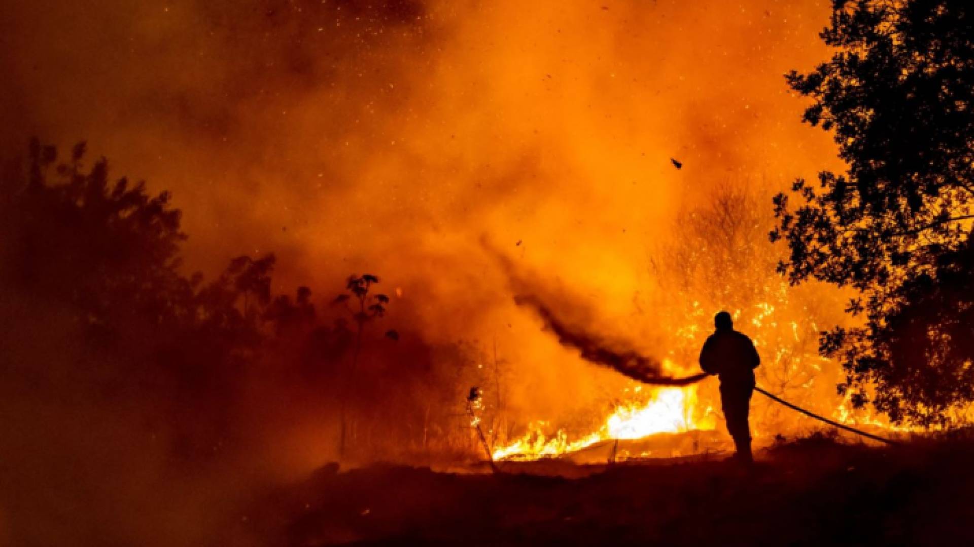 حرائق الغابات - أرشيفية