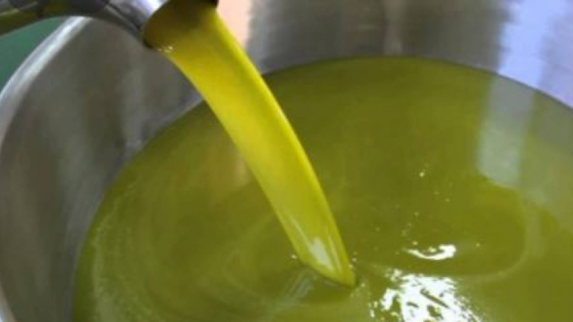 زيت زيتون - أرشيفية