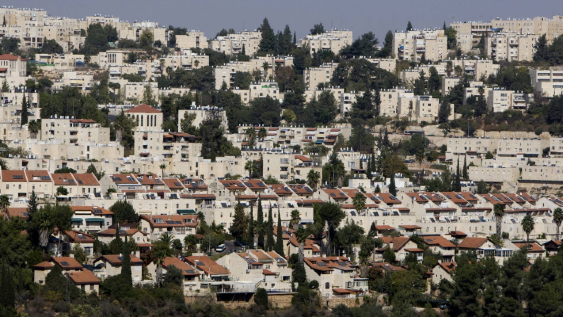 مستوطنات الاحتلال الإسرائيلي - أرشيفية