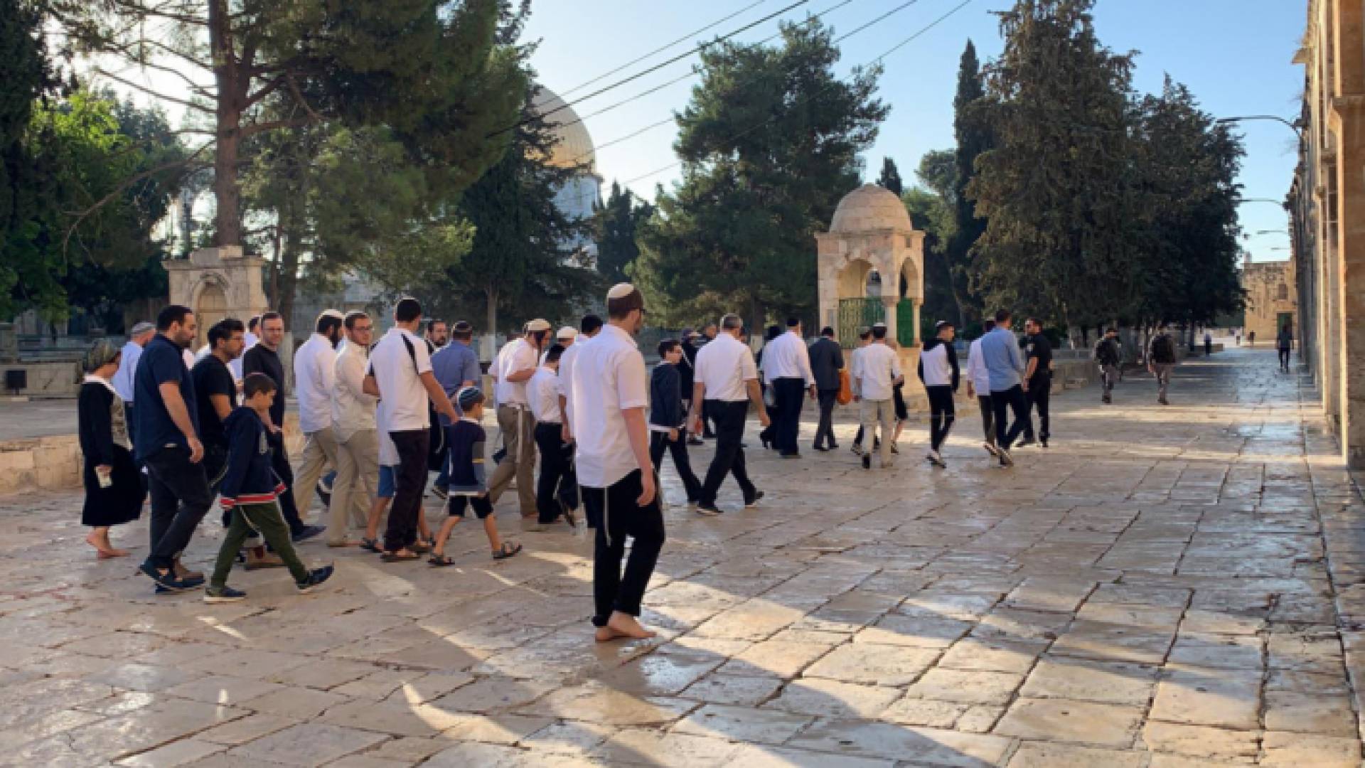 مستوطنون يقتحمون الأقصى بحراسة شرطة الاحتلال الإسرائيلي - أرشيفية