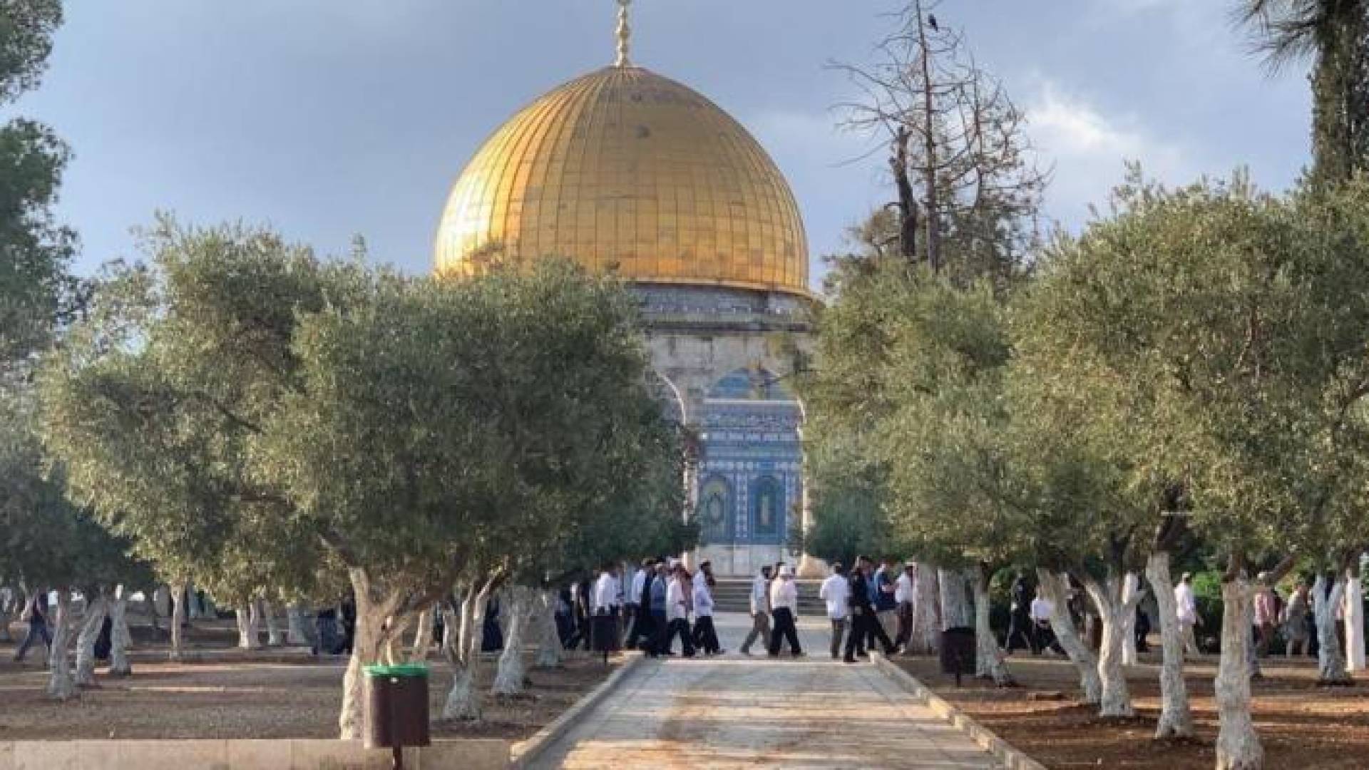 مستوطنون متطرفون يقتحمون الأقصى بحراسة شرطة الاحتلال الإسرائيلي - أرشيفية