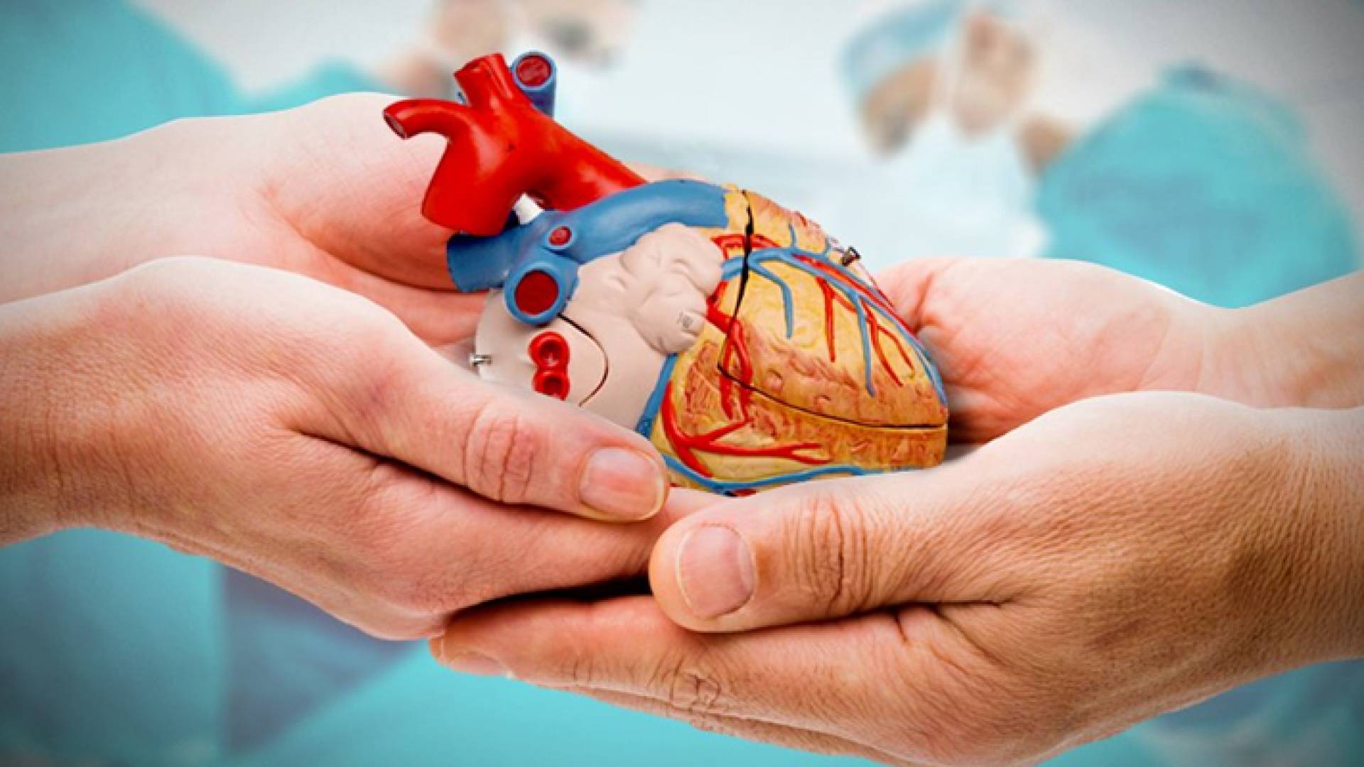 الصورة تعبيرية