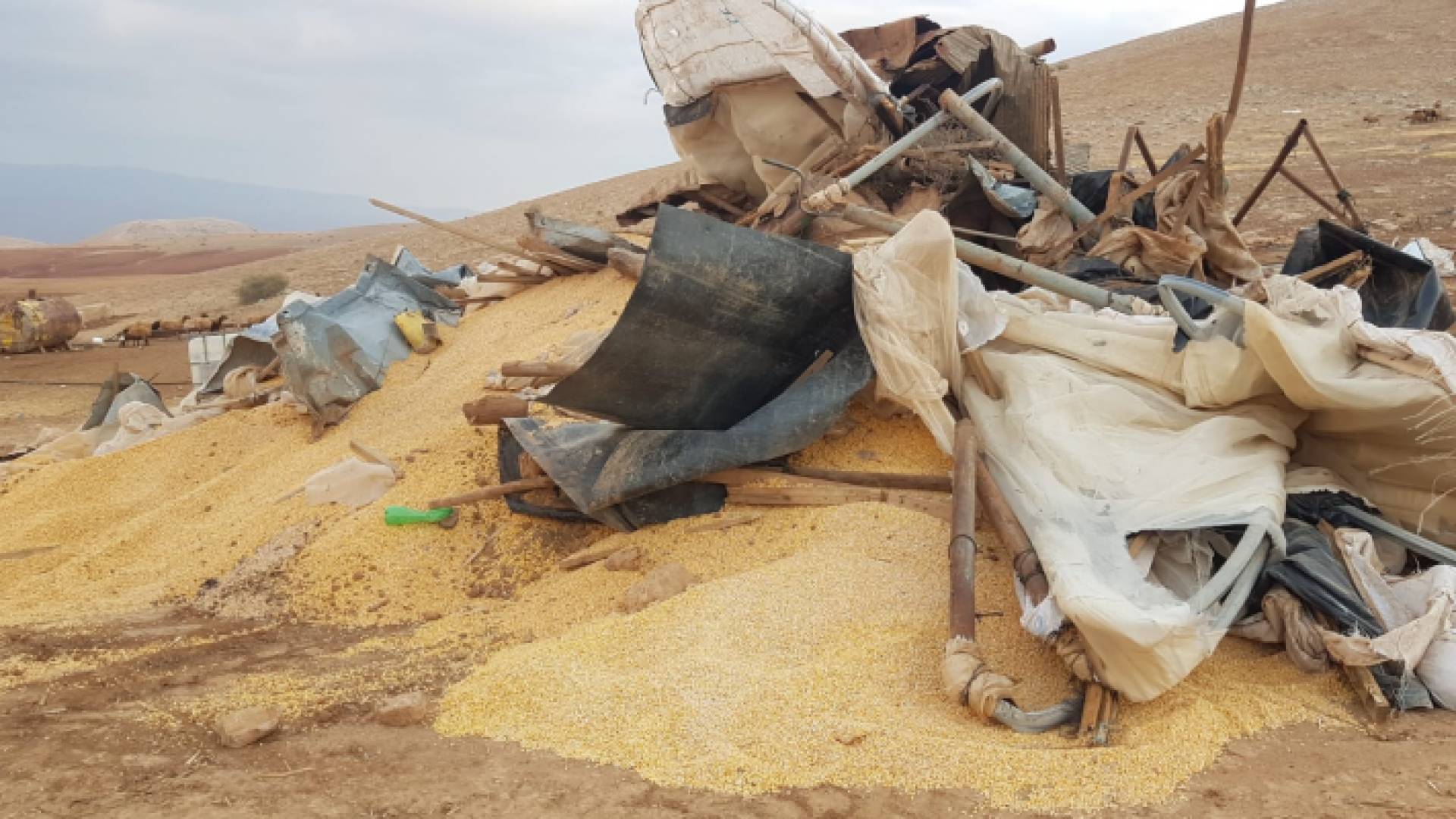 الأردن يدين هدم الاحتلال الإسرائيلي مساكن الفلسطينيين في الأغوار المحتلة