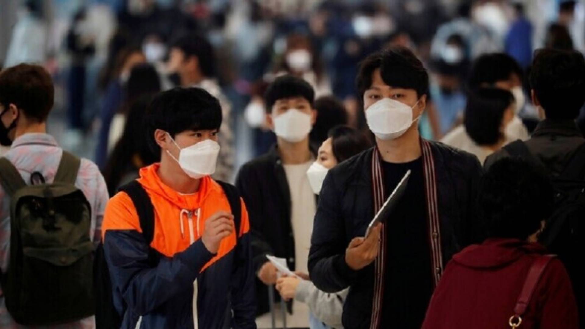 كورونا الجنوبية - ارشيفية