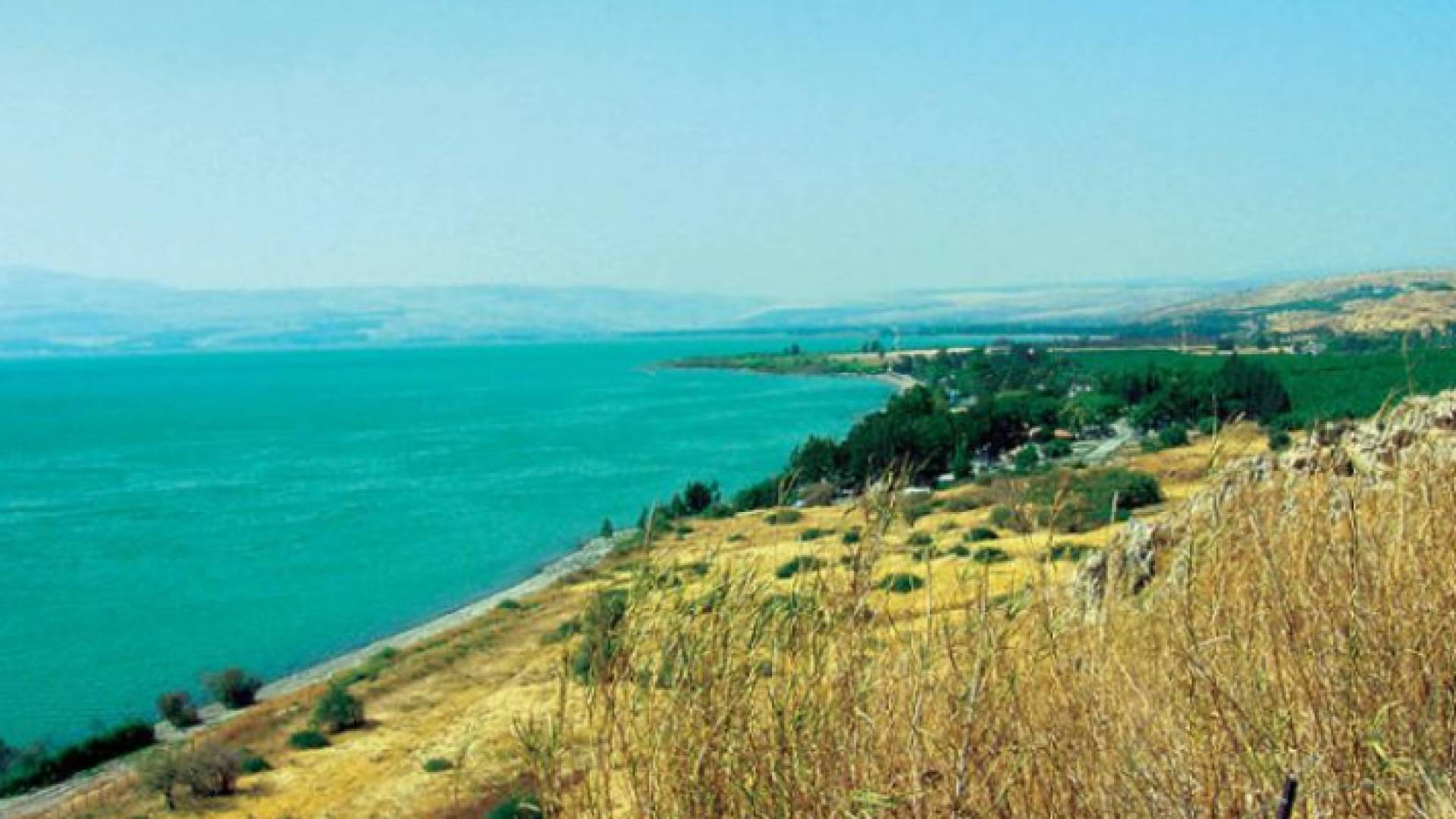 بحيرة طبريا