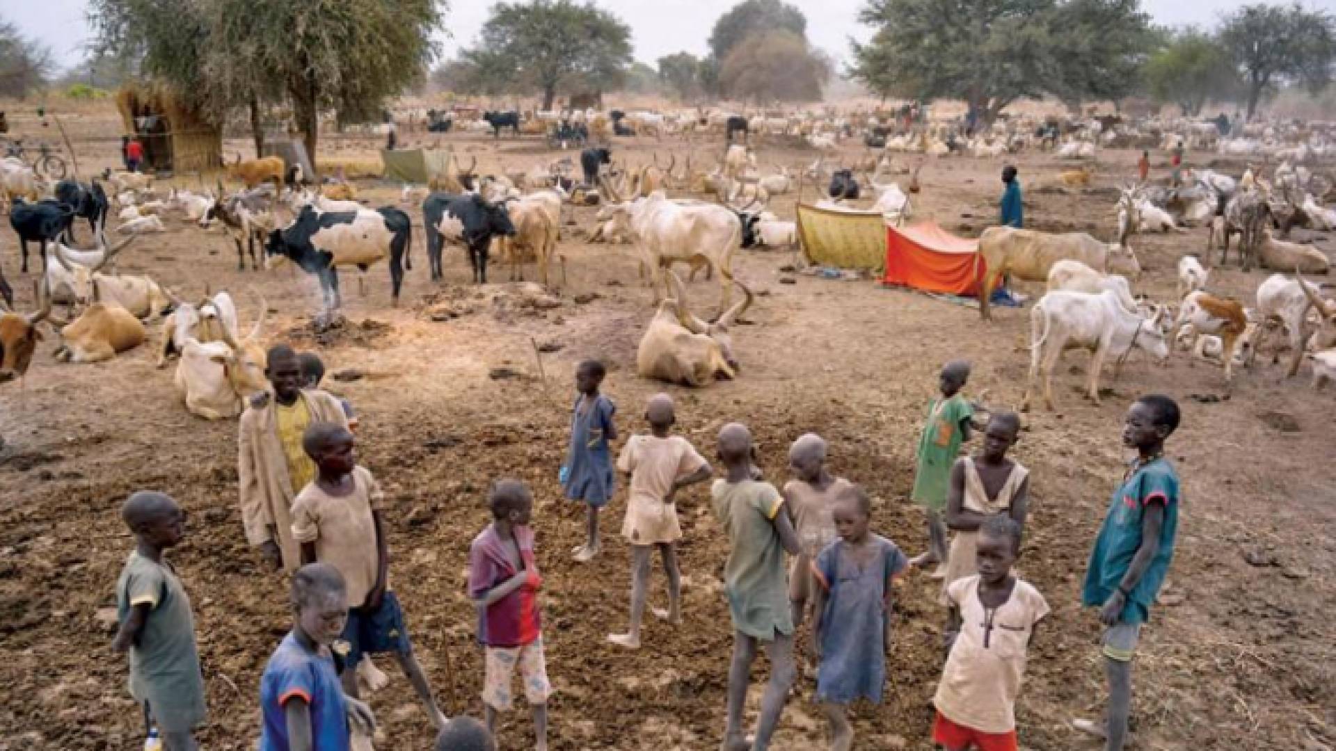 يعيش أربعة من كل خمسة من سكان جنوب السودان في "فقر تام"