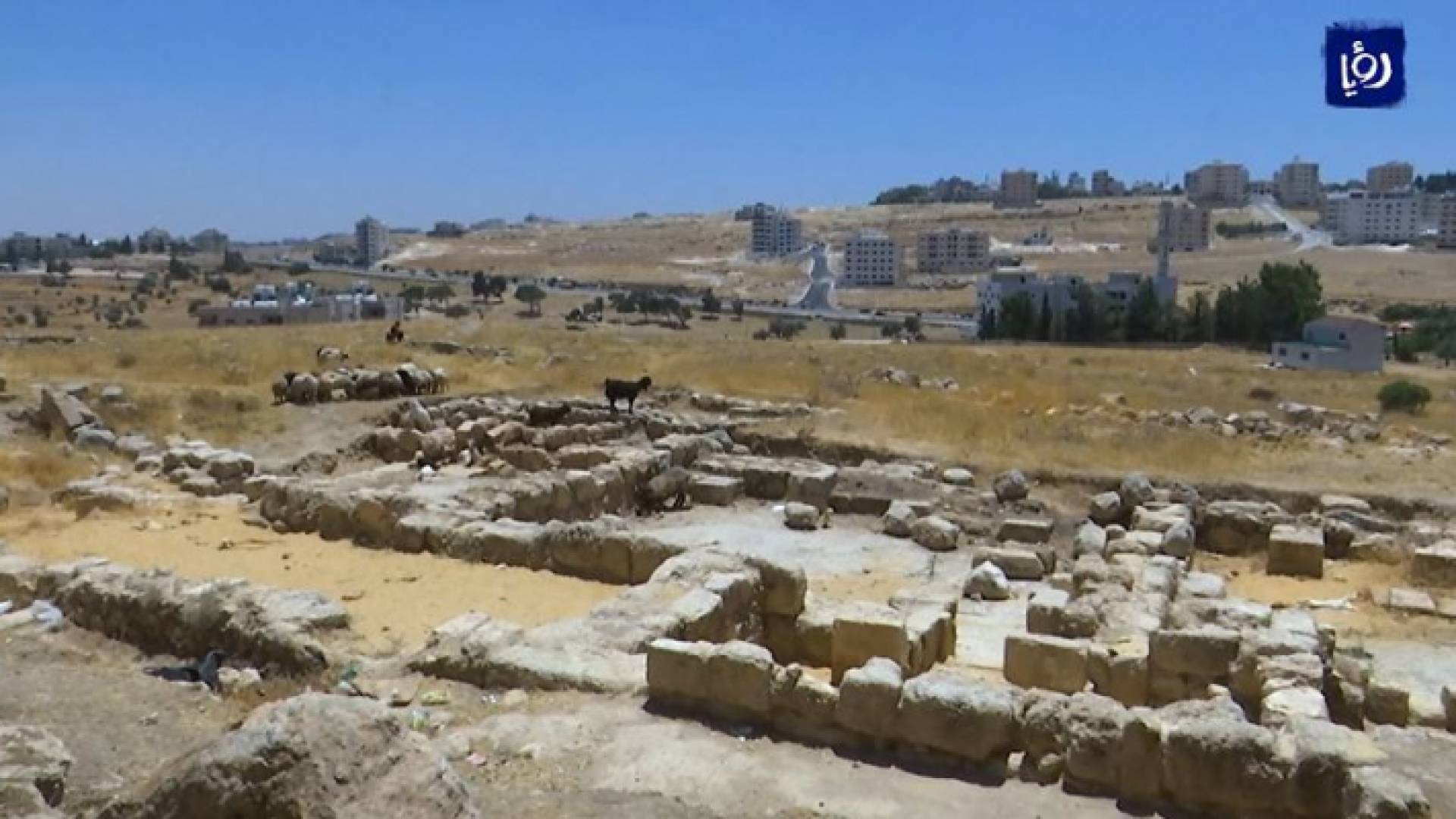 أهالي منطقة شفا بدران يطالبون بالحفاظ على ما تبقى من خربة ياجوز الأثرية