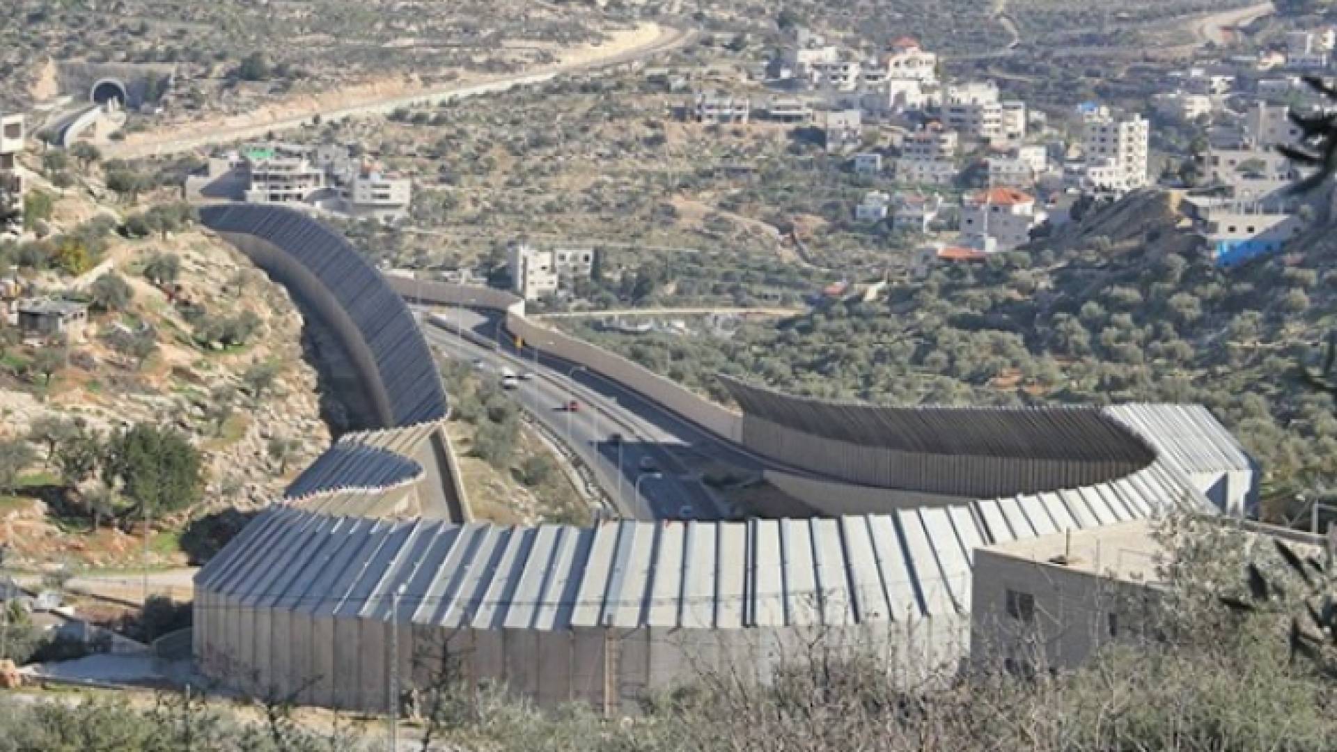 فلسطين المحتلة