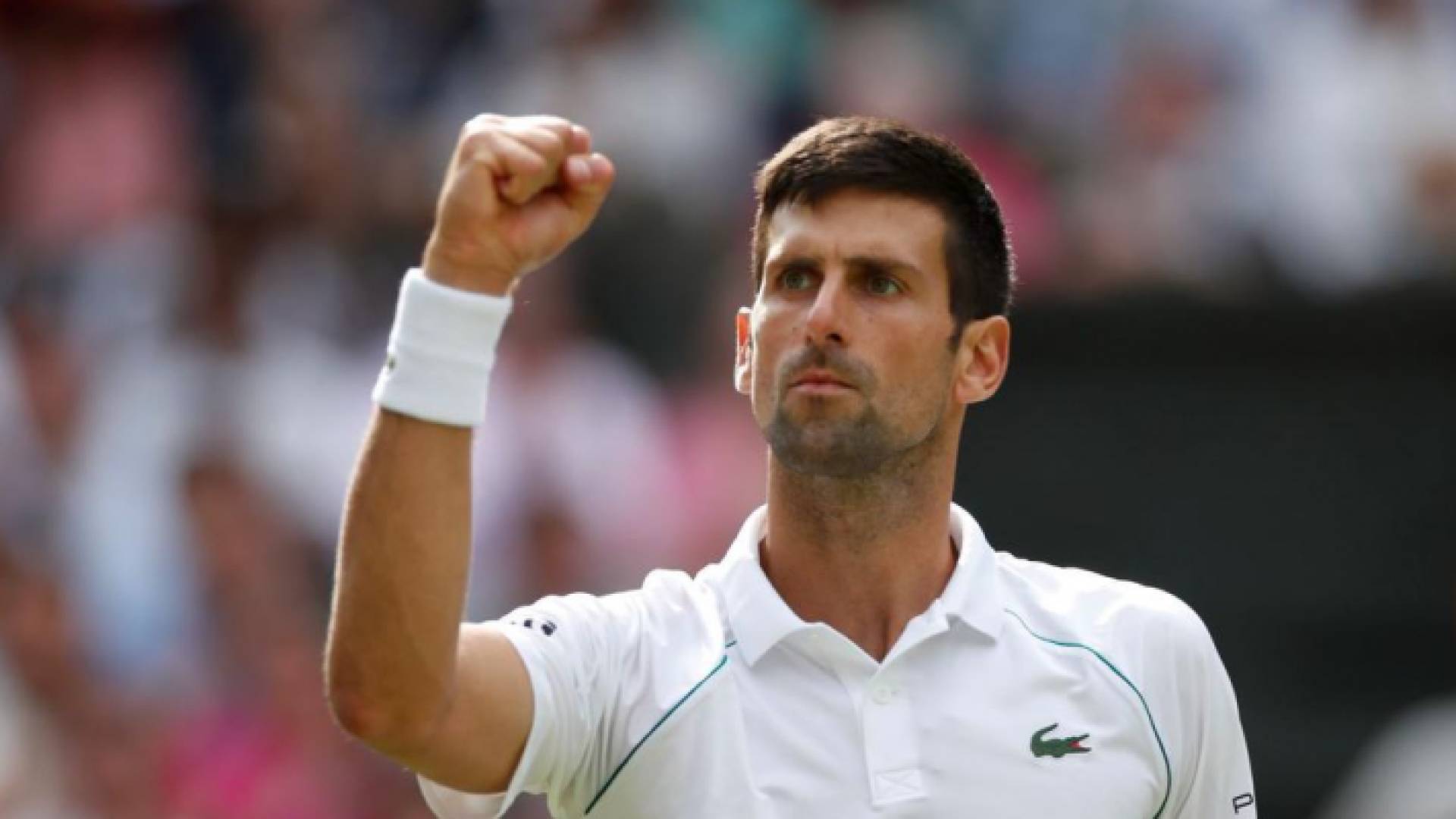 لصربي نوفاك دجوكوفيتش