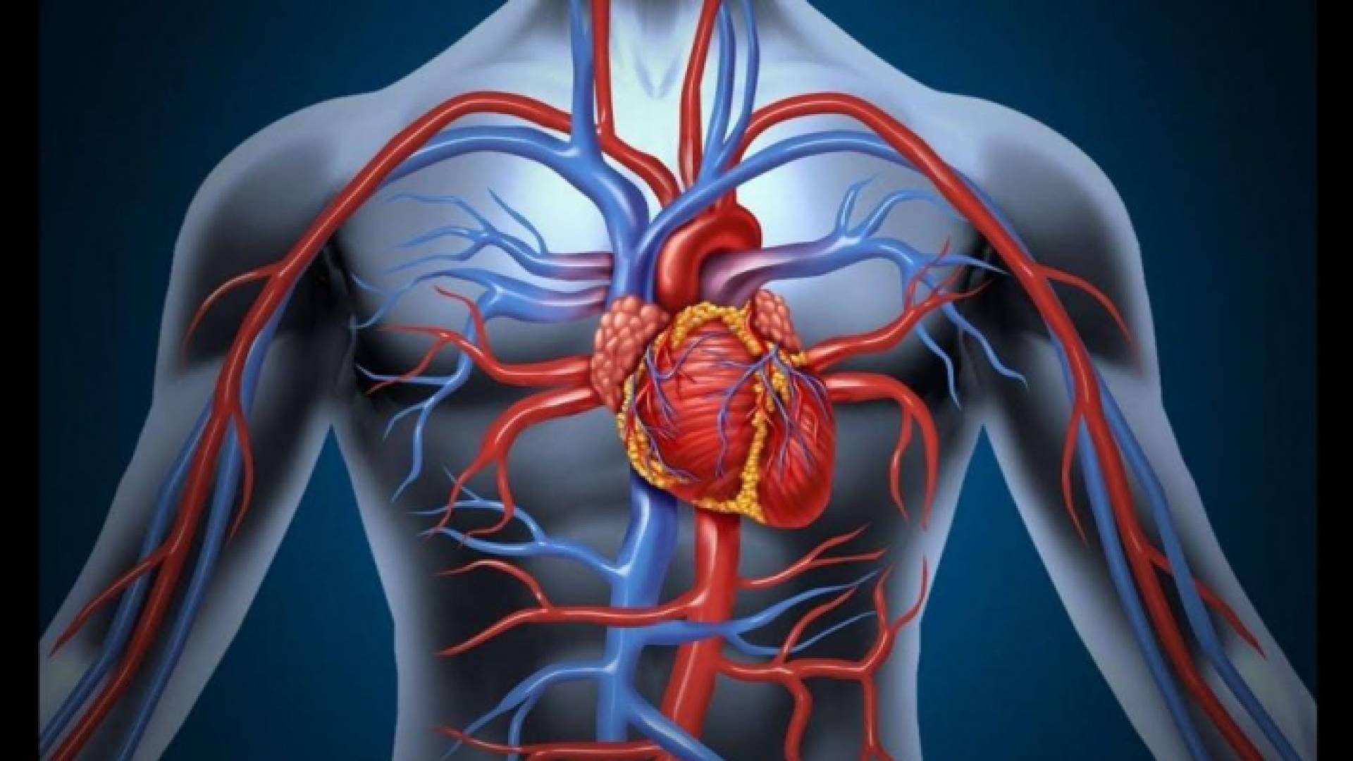 الصورة تعبيرية