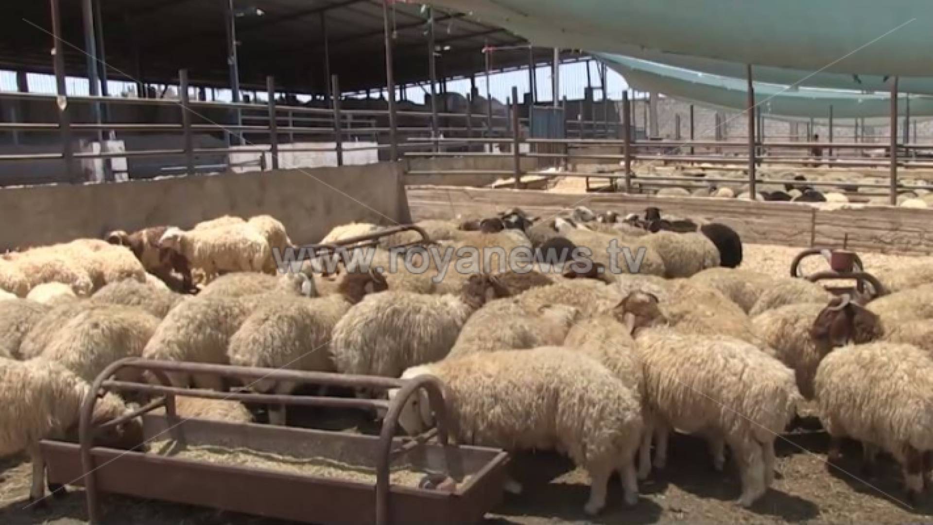 الصورة ارشيفية