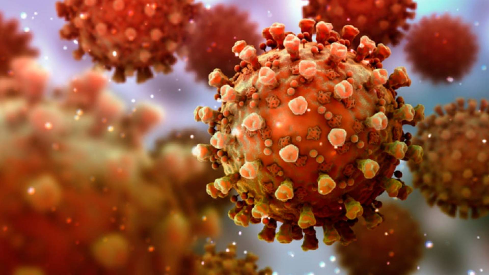 عضو لجنة الأوبئة: القلق من متحور "دلتا" لكورونا والعالم يشهد ارتدادا وبائيا