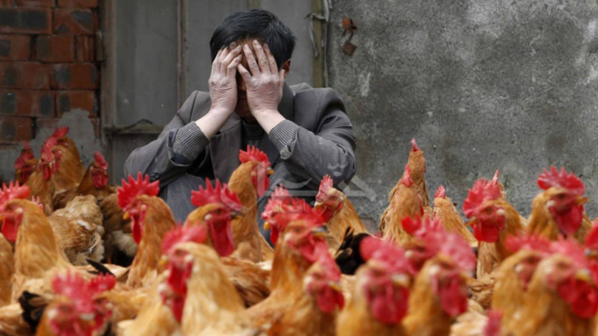 الصورة ارشيفية