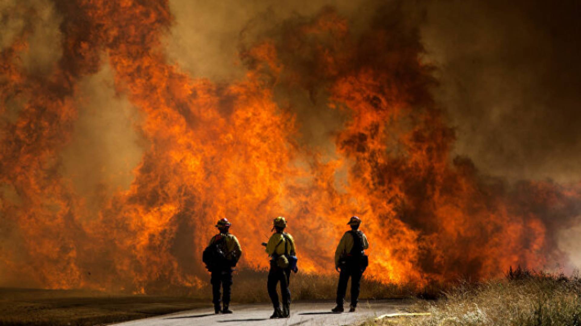 حرائق في غابات ولاية كاليفورنيا الأمريكية