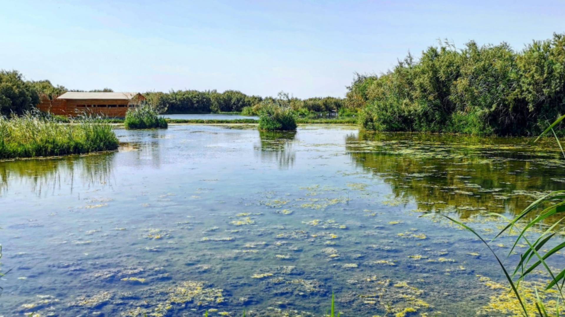 محمية الأزرق