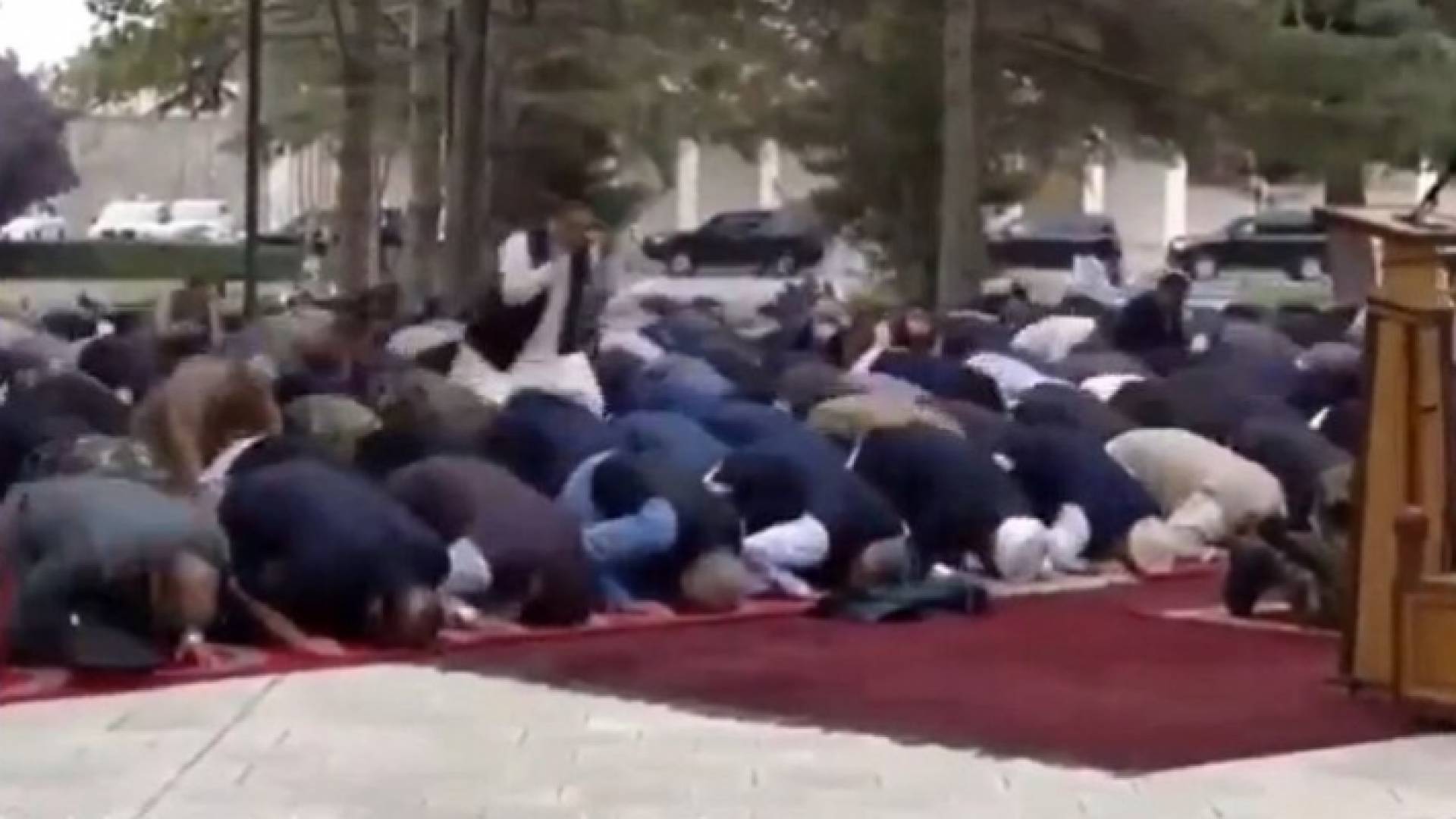 ارشيفية