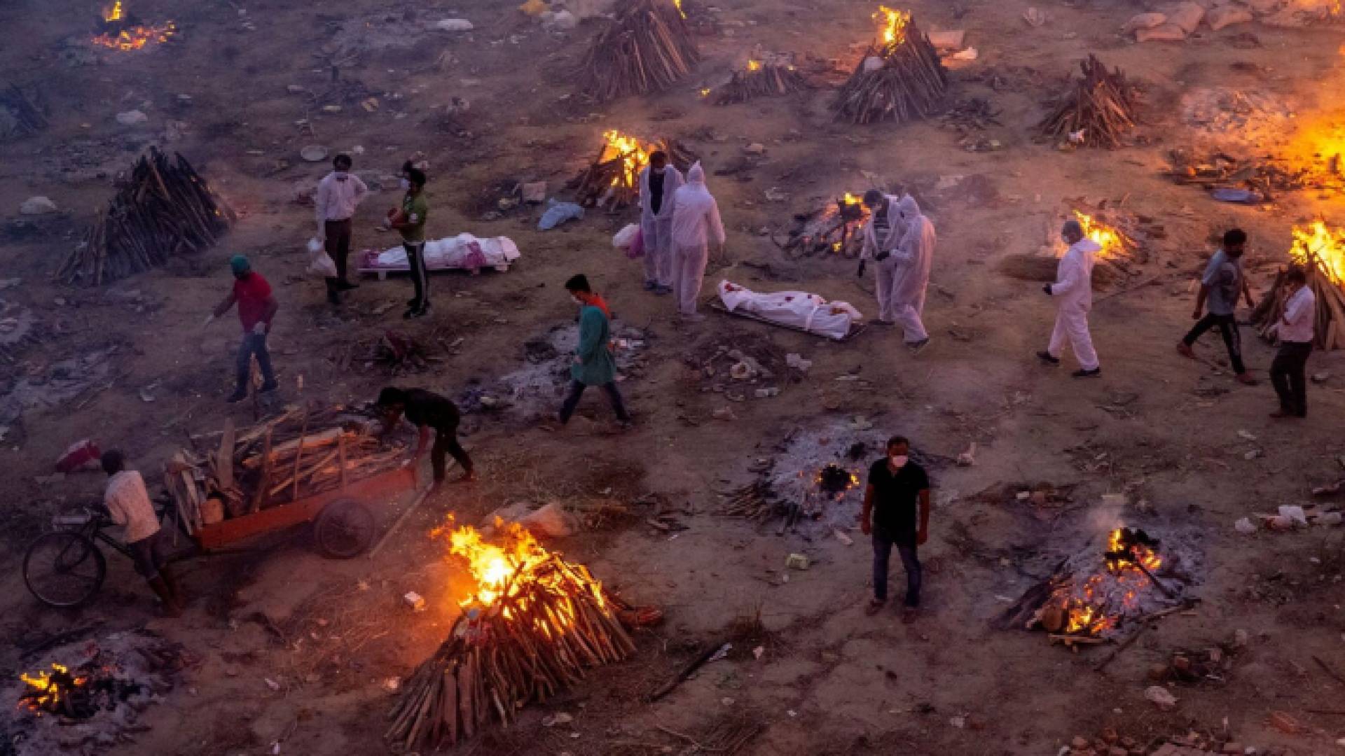 مقابر مرضى كورونا في الهند