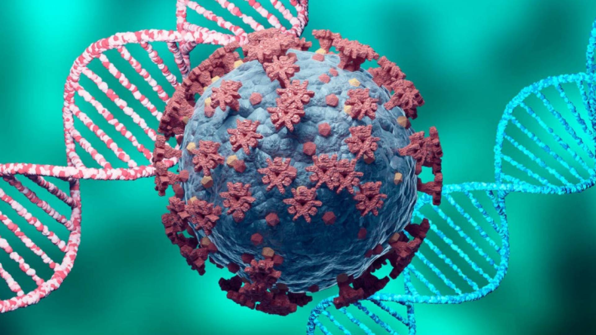 الصورة تعبيرية