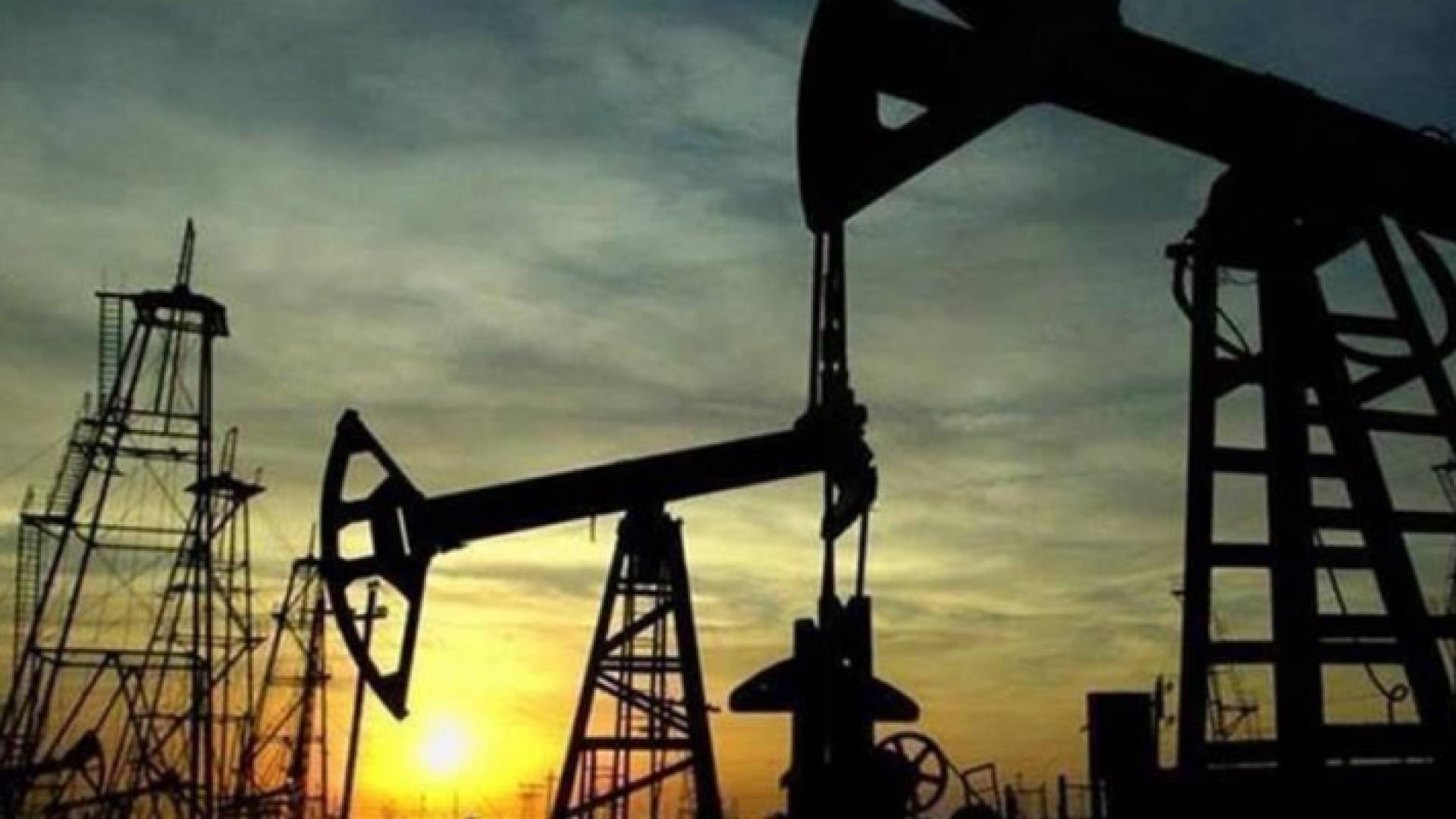 استقرار أسعار النفط عالميا