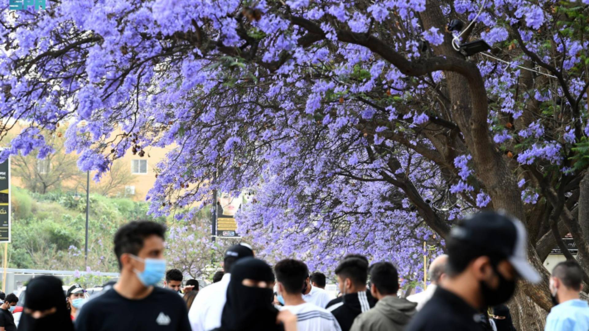 جانب من مدينة أبها السعودية