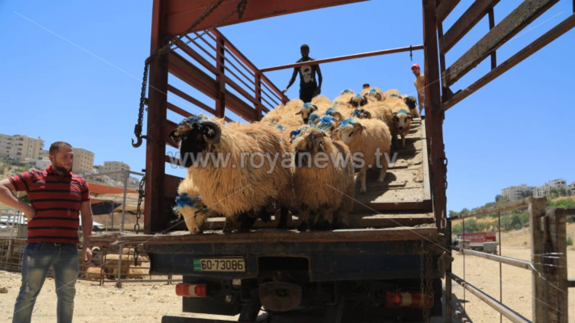 دائرة الإفتاء العام