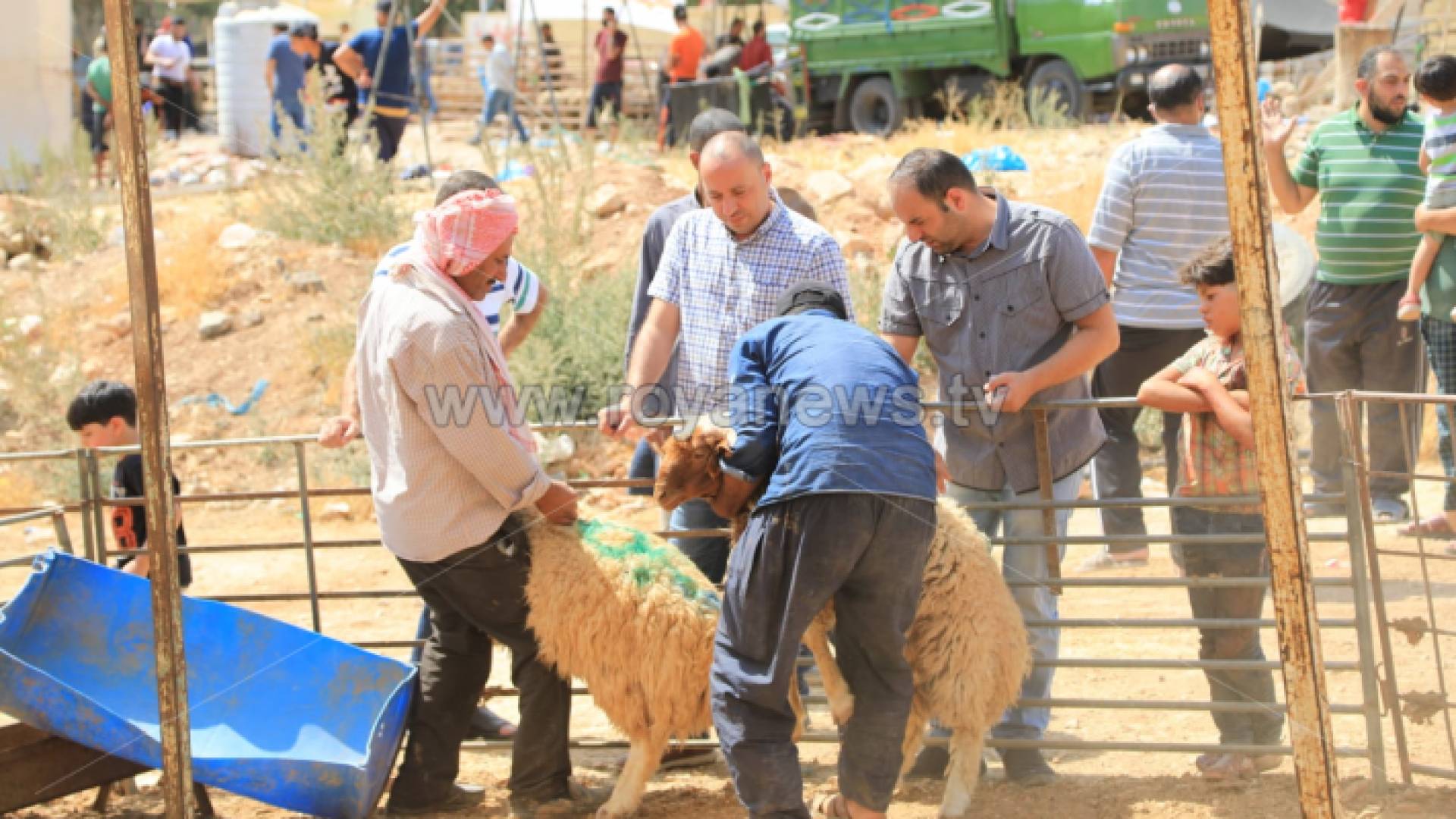 الصورة ارشيفية