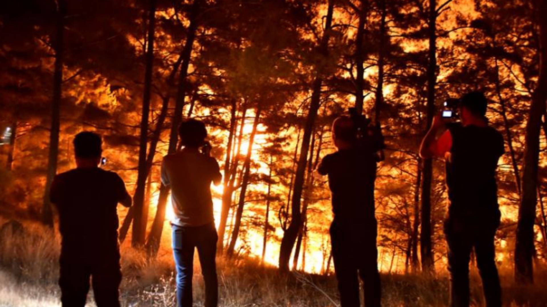 حرائق الغابات في كندا