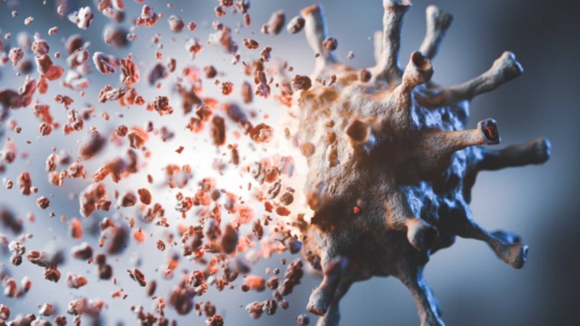 الصورة تعبيرية