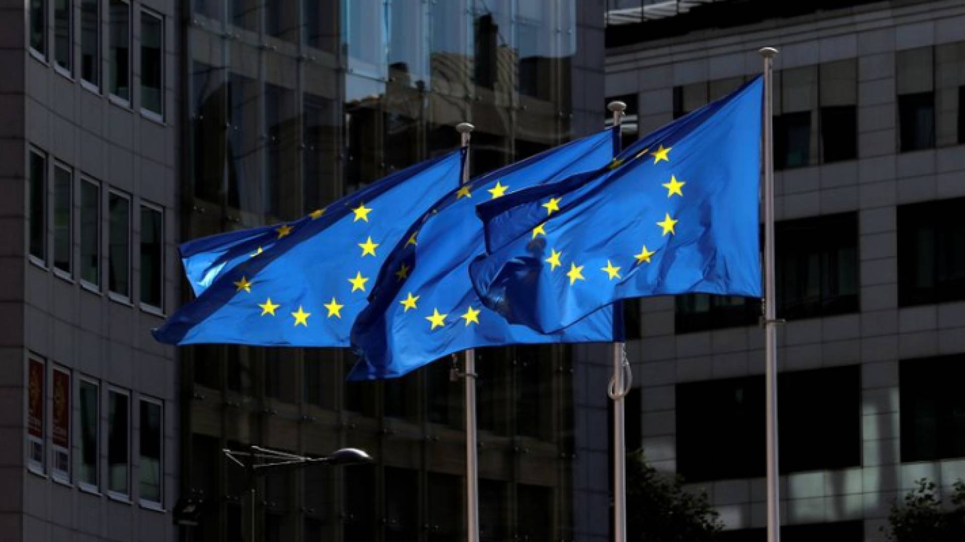 علم دول الاتحاد الأوروبي