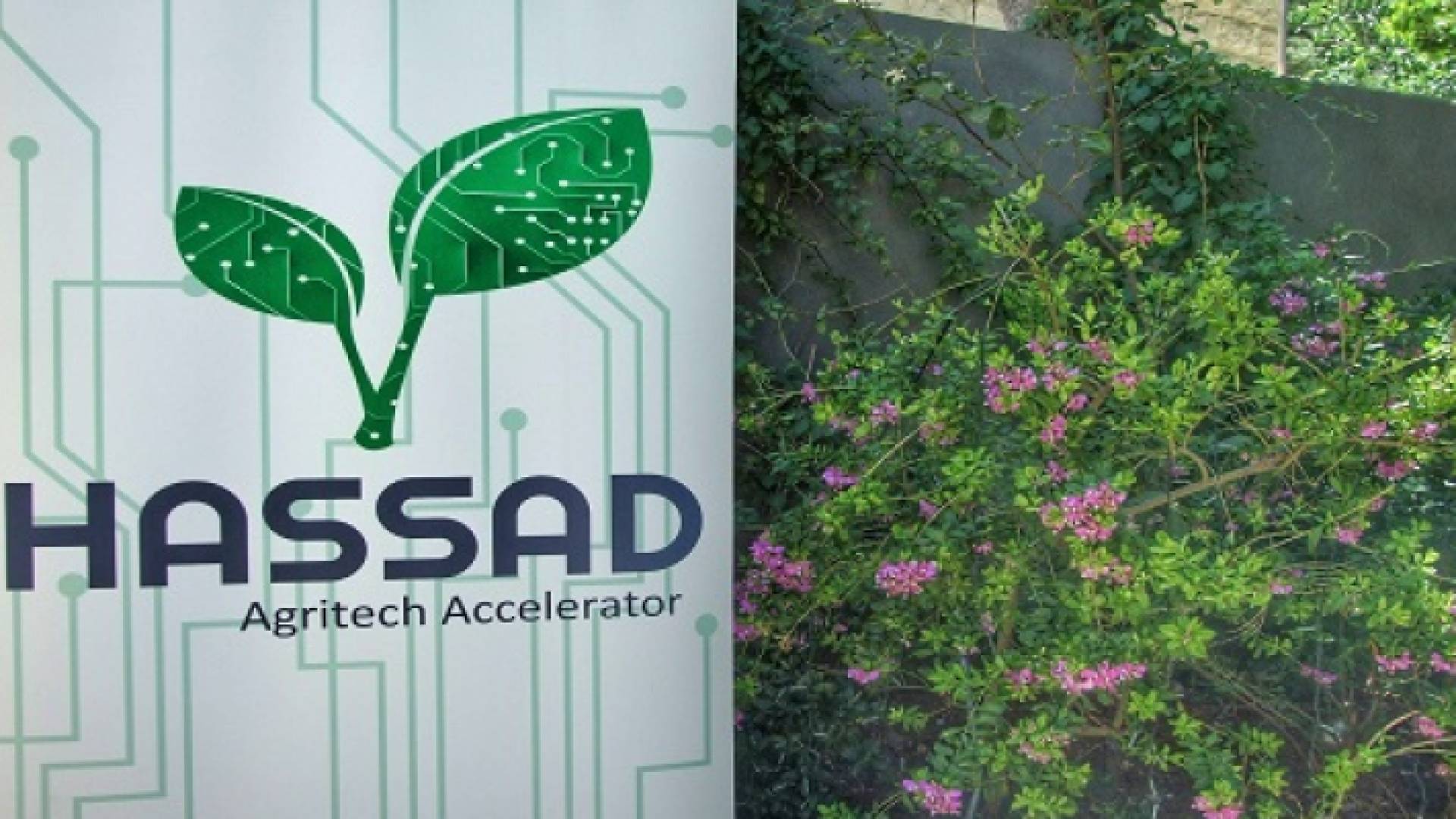 تمديد فترة استقبال طلبات المشاركة بتحدي المستقبل الزراعي