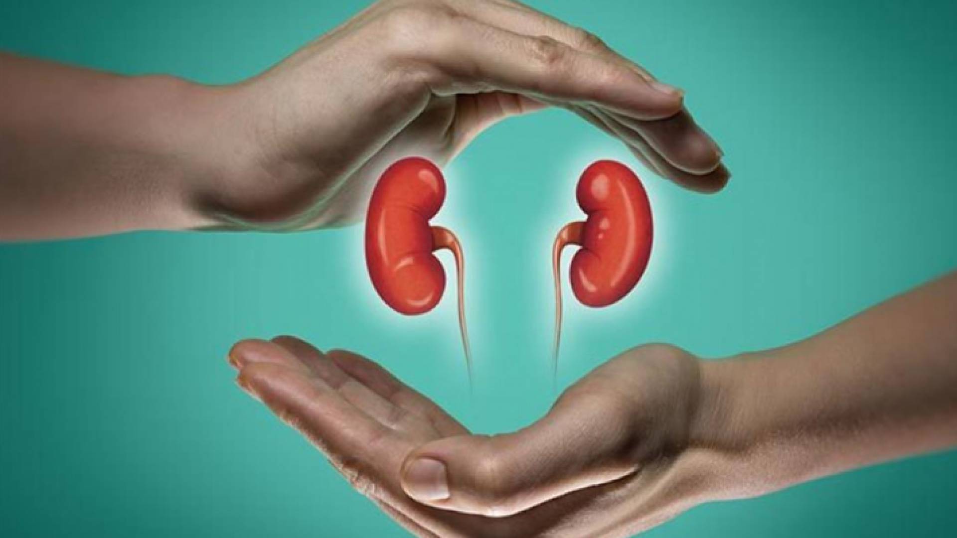 صفقة إماراتية إسرائيلية لتبادل كلى بشرية