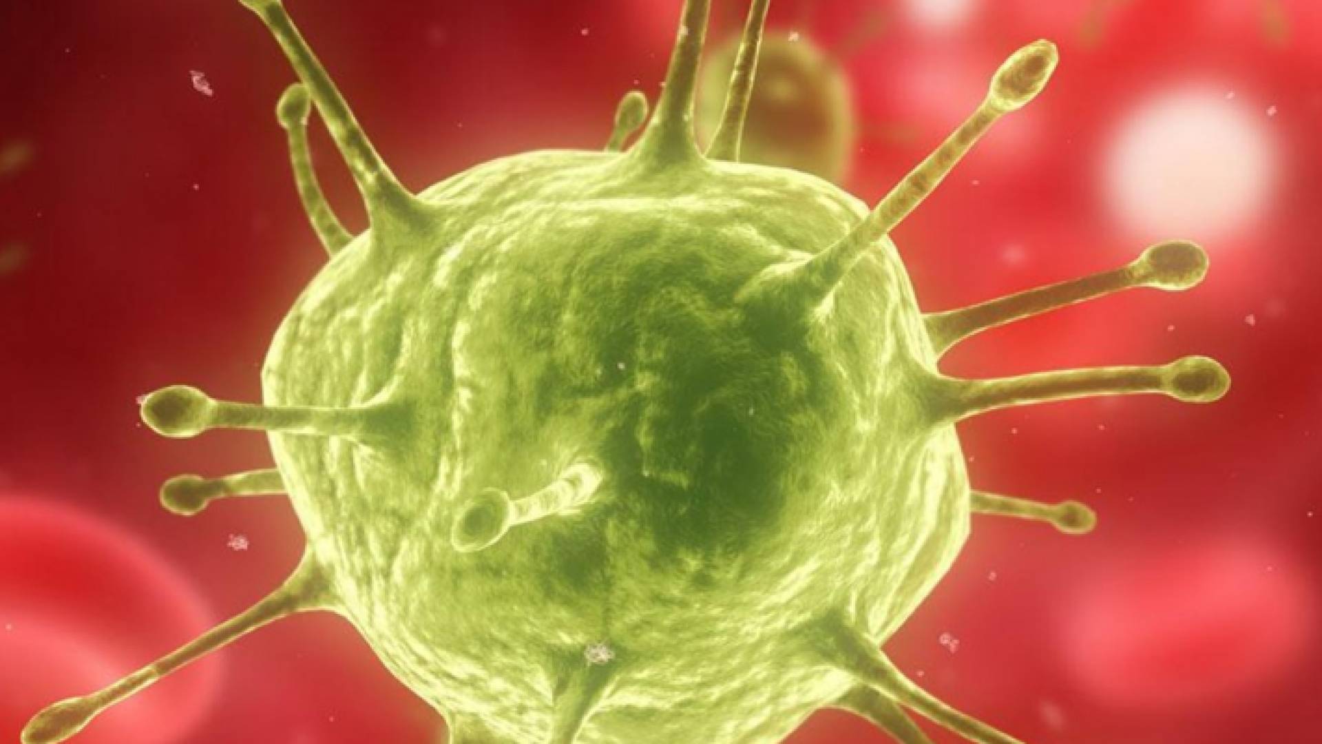 الصحة العالمية: 65 ألف وفاة بالتهاب الكبد الوبائي في شرق المتوسط