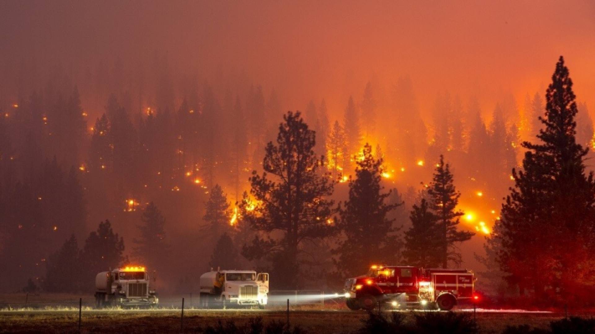 حرائق كاليفورنيا