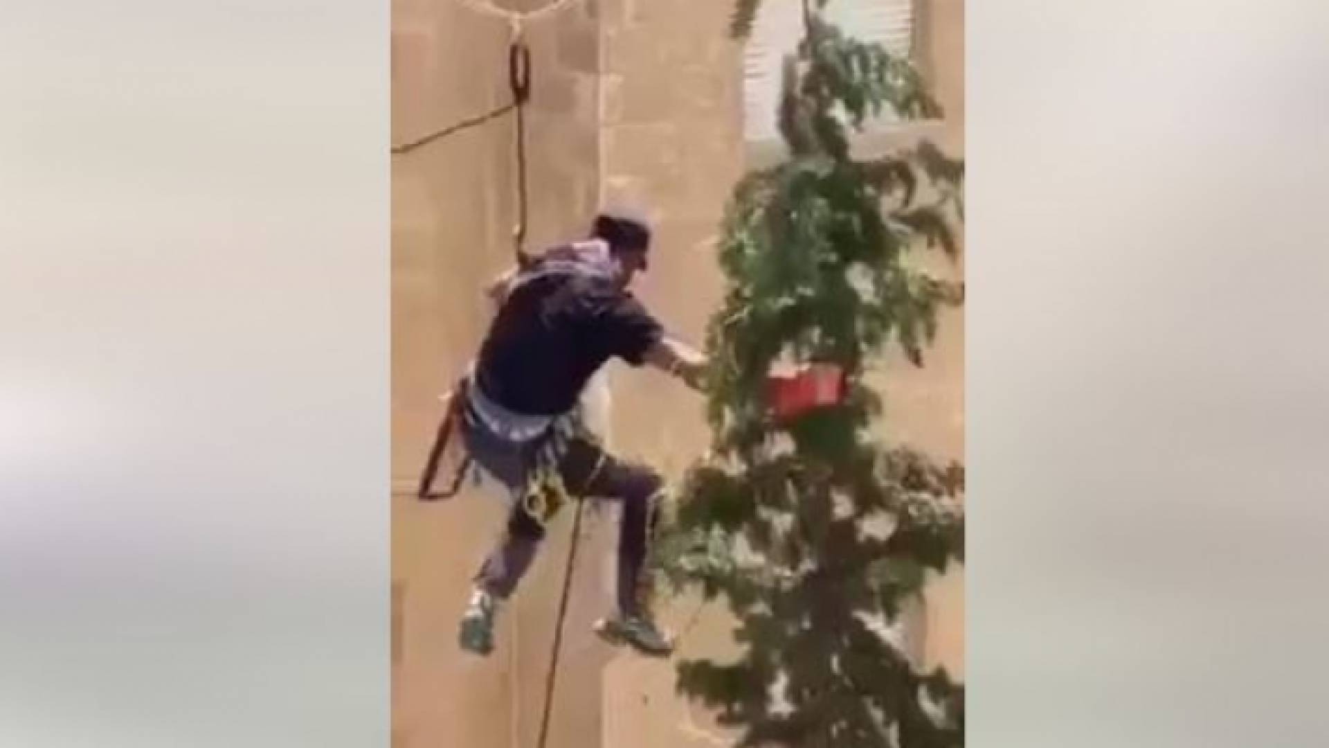 لحظة إنقاذ القطة