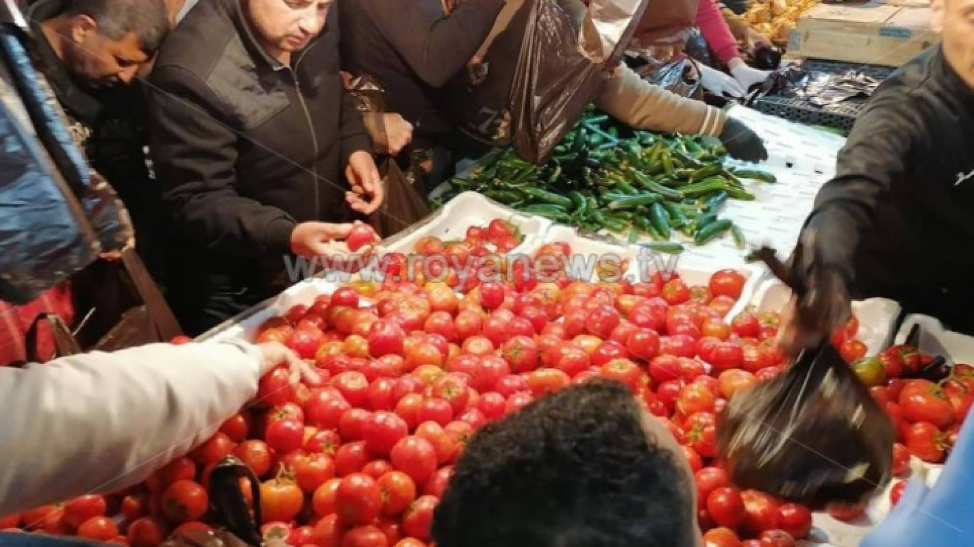 3034 طن خضار وفواكه ترد السوق المركزي