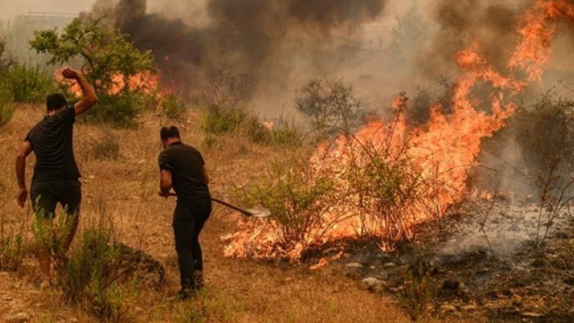 أسفرت عن مقتل وإصابة العشرات